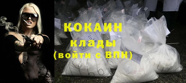 сатива Новозыбков