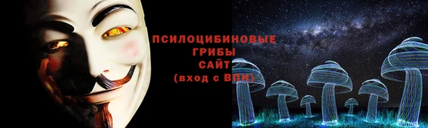 PSILOCYBIN Осташков