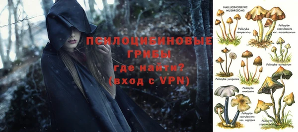 спиды Нягань