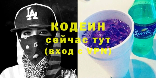 мдпв Осинники