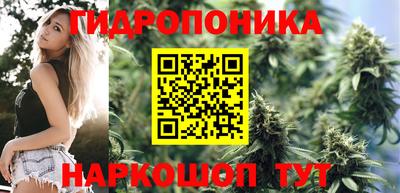 ALPHA PVP Камышлов