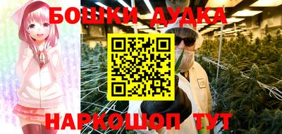 индика Аргун