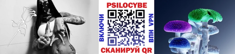 Галлюциногенные грибы прущие грибы  Удомля 