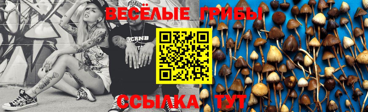 Псилоцибиновые грибы MAGIC MUSHROOMS  Псилоцибиновые грибы мицелий  Вход с VPN  Удомля 
